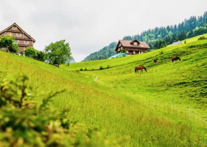 Шале Fantastic Renovated In The Heart Of Alps Мюнстер
