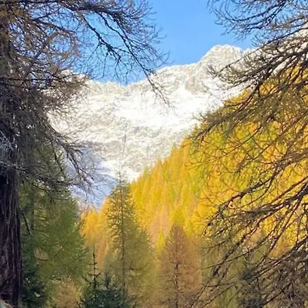 Chalet Fantastic Renovated In The Heart Of Alps *