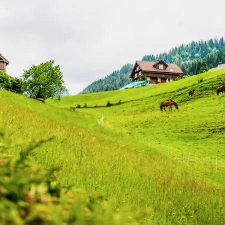 Chalet Fantastic Renovated In The Heart Of Alps Münster